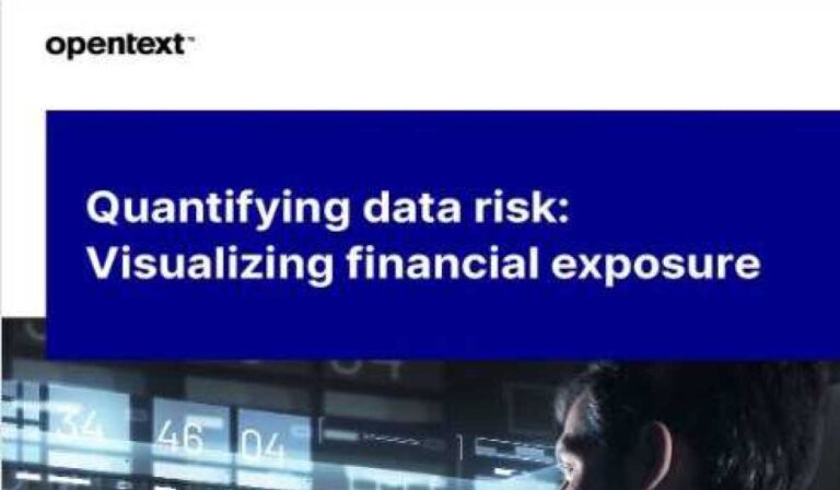 Quantifying Data Risk - A Strategic Approach for Visualizing Financial Exposure